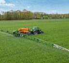 Controlling annual meadow grass in winter cereal crops