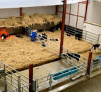 Getting facilities prepared ahead of the calving season