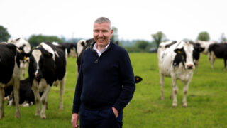 NI Dairy council chief outlines focus on food security for 2026