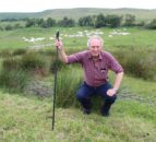 Use of EIDs in NI sheep industry ‘opened many new opportunities’ – flock owner