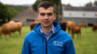 CAFRE launches BEEF finishing groups to help farmers ‘drive margins’