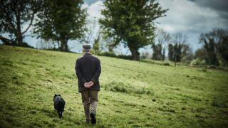 New safety campaign targets older farmers in NI