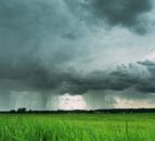 Flooding ‘increases risk of avian influenza incursion’ – DAERA