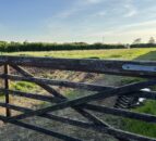 DAERA seeks chair and members for nature conservation council