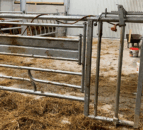 Ensuring safety at calving on suckler and dairy farms this spring