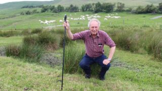 Vaccinating flock against bluetongue ‘obvious step to take’ – sheep breeder