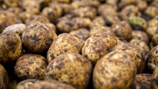 EU farmers giving potatoes away as ‘significant surplus’ hits markets