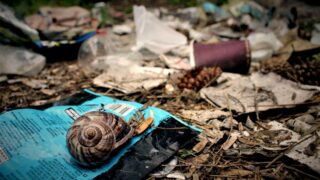 ‘Police-style’ powers given to EA officers to crack down on dumping