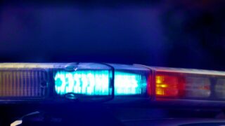 NI police appeal for information after sheep found dead