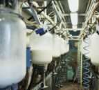 Keeping thermoduric bacteria out of the parlour