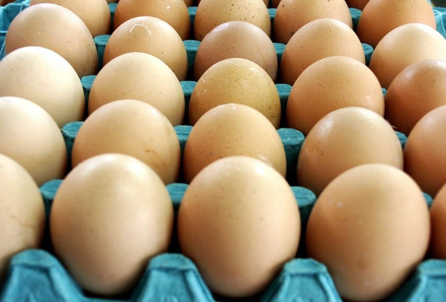Rabobank: Strong outlook for European poultry