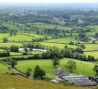 DAERA opens regional food programme for applications