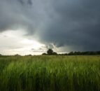 Warning issued as Storm Dave to bring ‘severe gusts’ over Easter weekend