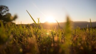 35% of Europe saw ‘extreme’ agricultural drought in May 2025 – report