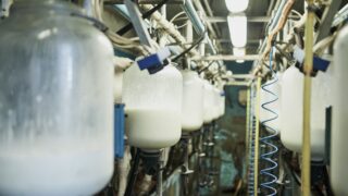 GB milk supplies remain too far ahead of processing capacity – AHDB