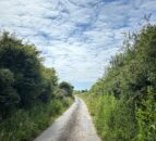 Call for ‘more robust’ response to illegal dumping