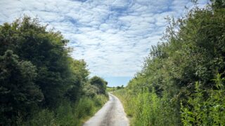 Call for ‘more robust’ response to illegal dumping