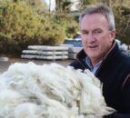 Ulster Wool sees prices reach highest level in a decade