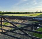 NI agriculture ‘15% financially worse off’ than a year ago – FFA