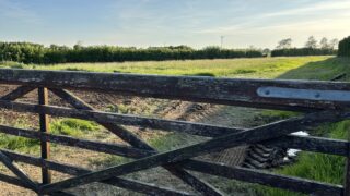 NI agriculture ‘15% financially worse off’ than a year ago – FFA