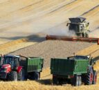 Rising fertiliser prices could boost world grain markets – researcher