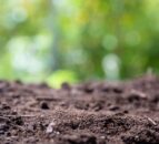 Final phase of NI Soil Nutrient Health Scheme to open this summer