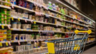 ‘A cost of farming crisis is emerging’ in UK – consultant
