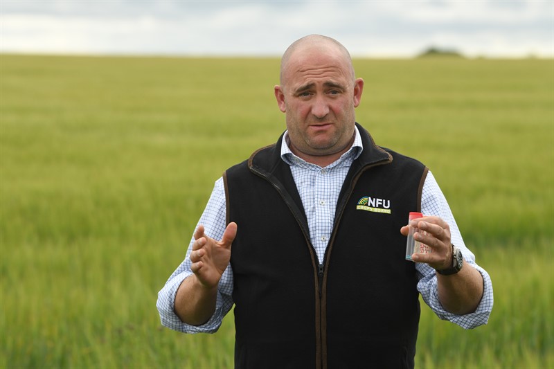 NFU's chair of the combinable crops board Jamie Burrows standing in an arable field.