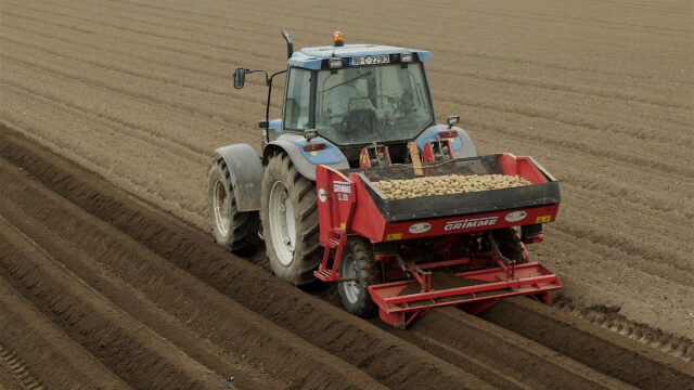 Mixed outlook for GB crops as barley area falls