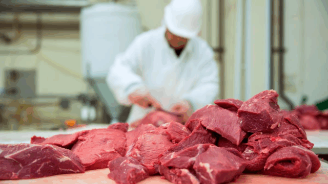 Rising use of obesity medications ‘good news’ for red meat sector – LMC