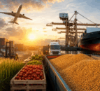 FAO: Global cereal output due to decline but only slightly