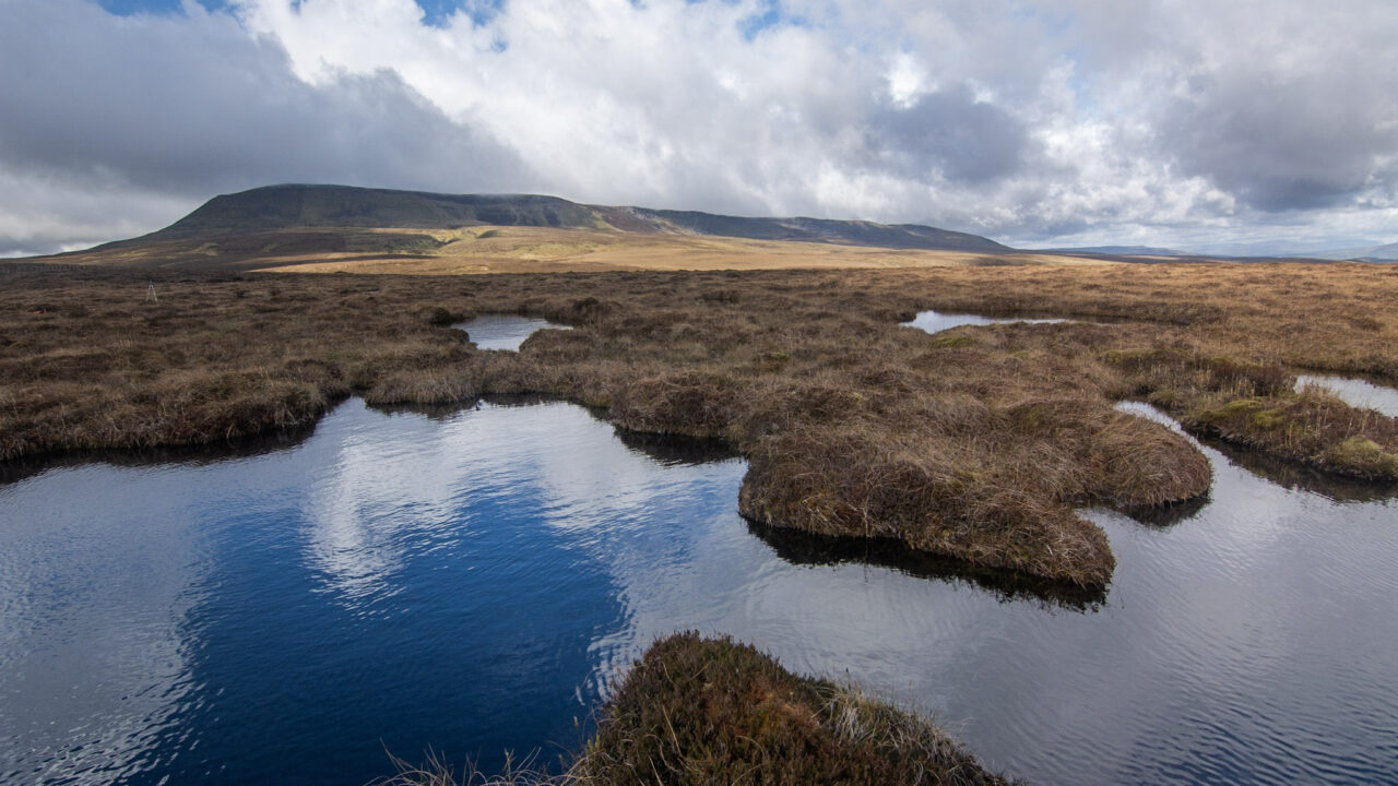 Lack of funding main barrier to peatland restoration for NI farmers – survey