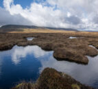 Lack of funding main barrier to peatland restoration for NI farmers – survey