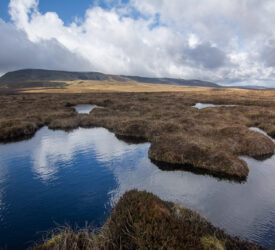Lack of funding main barrier to peatland restoration for NI farmers – survey