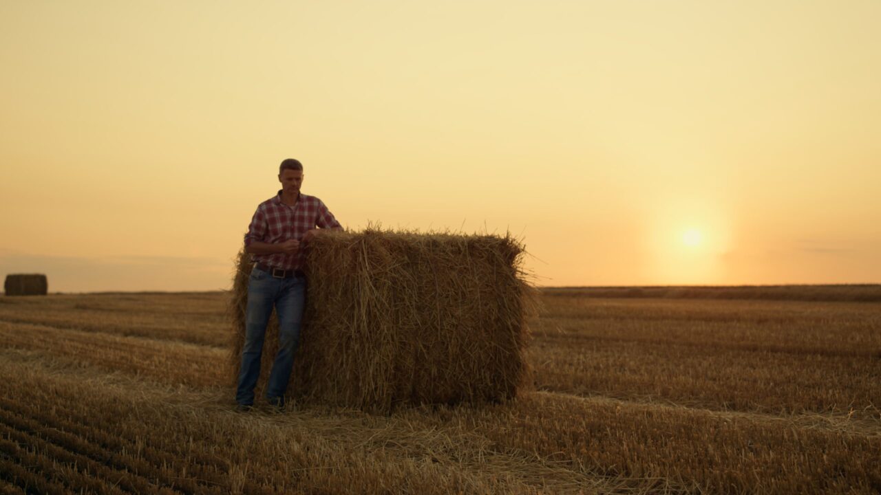 agriland.co.uk - Agriland Team - NI farmers lauded for food production in extreme heat
