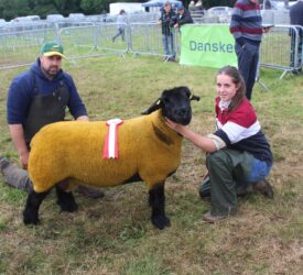 Ballymoney Show 2026 enjoys record sheep turnout