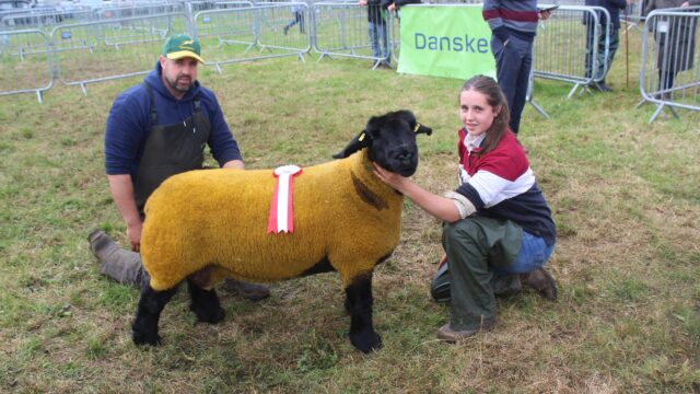 Ballymoney Show 2026 enjoys record sheep turnout