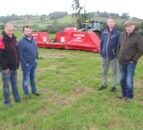 Broadleaf weeds reportedly a challenge for NI grasslands in 2026