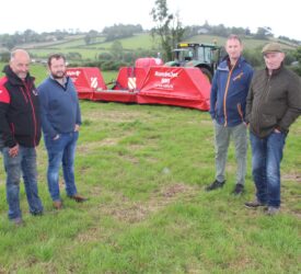 Broadleaf weeds reportedly a challenge for NI grasslands in 2026