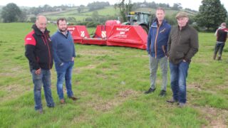 Broadleaf weeds reportedly a challenge for NI grasslands in 2026