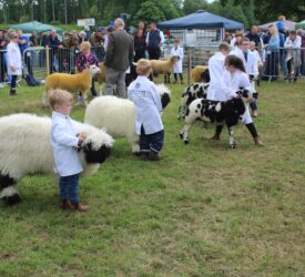 ‘Tremendous’ turnout of young handlers at Armagh Show 2026