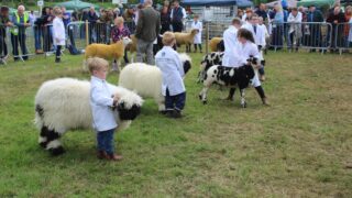 ‘Tremendous’ turnout of young handlers at Armagh Show 2026
