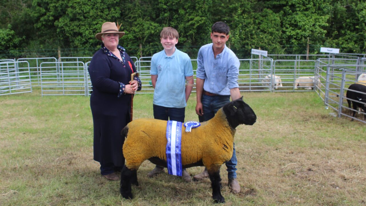More success for Crawford Brothers at Saintfield Show 2026