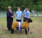 More success for Crawford Brothers at Saintfield Show 2026