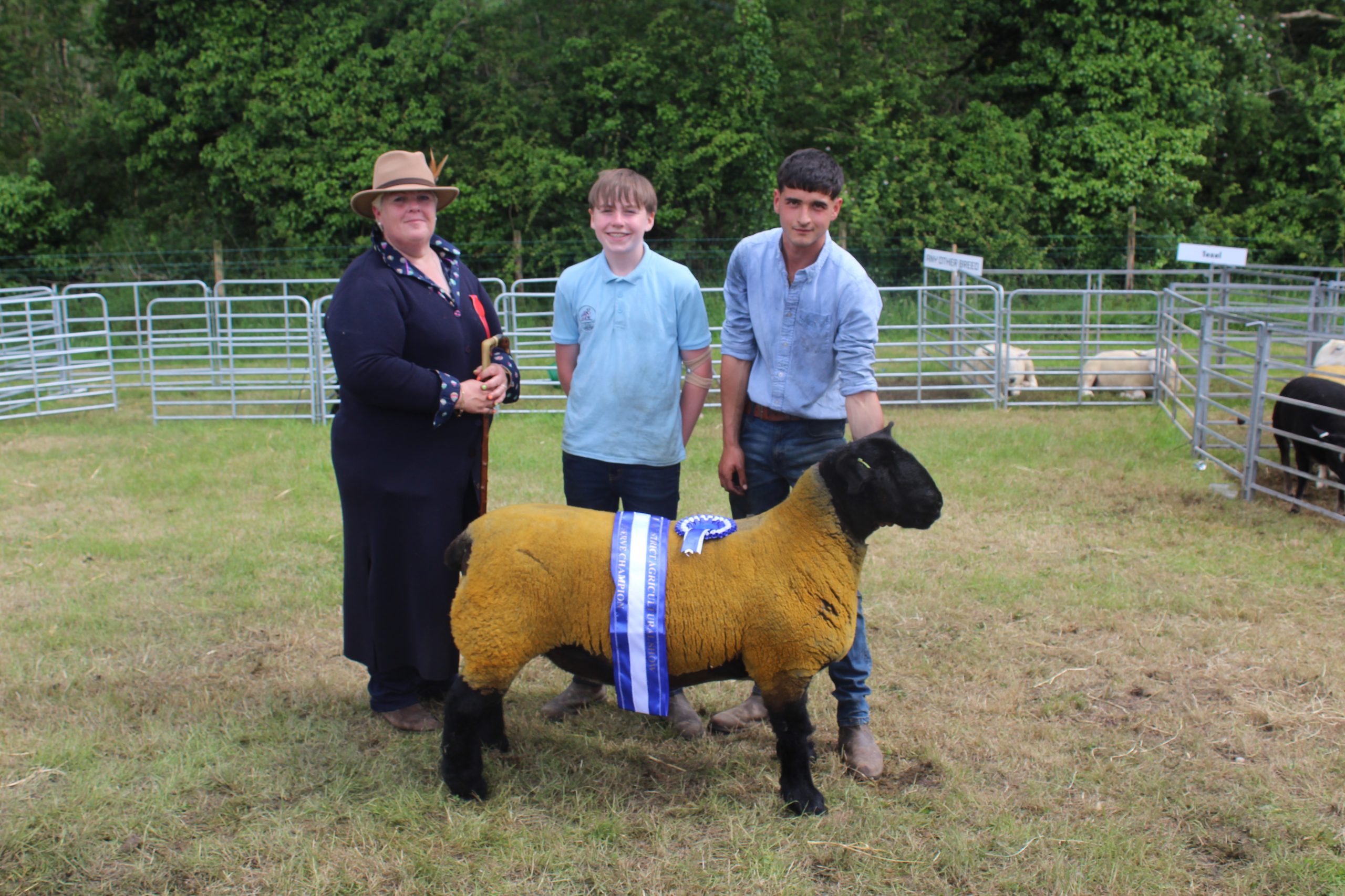 More success for Crawford Brothers at Saintfield Show 2026 - Agriland.co.uk