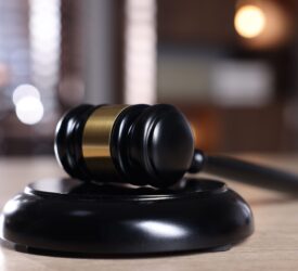 Court: Farmer gets suspended jail sentences in animal welfare case