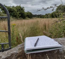2026 ‘Best in Rural Writing’ contest opens for submissions