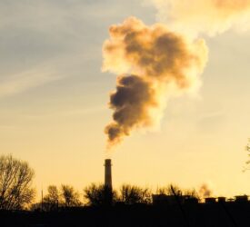 Major food companies ‘lagging’ on methane targets – report