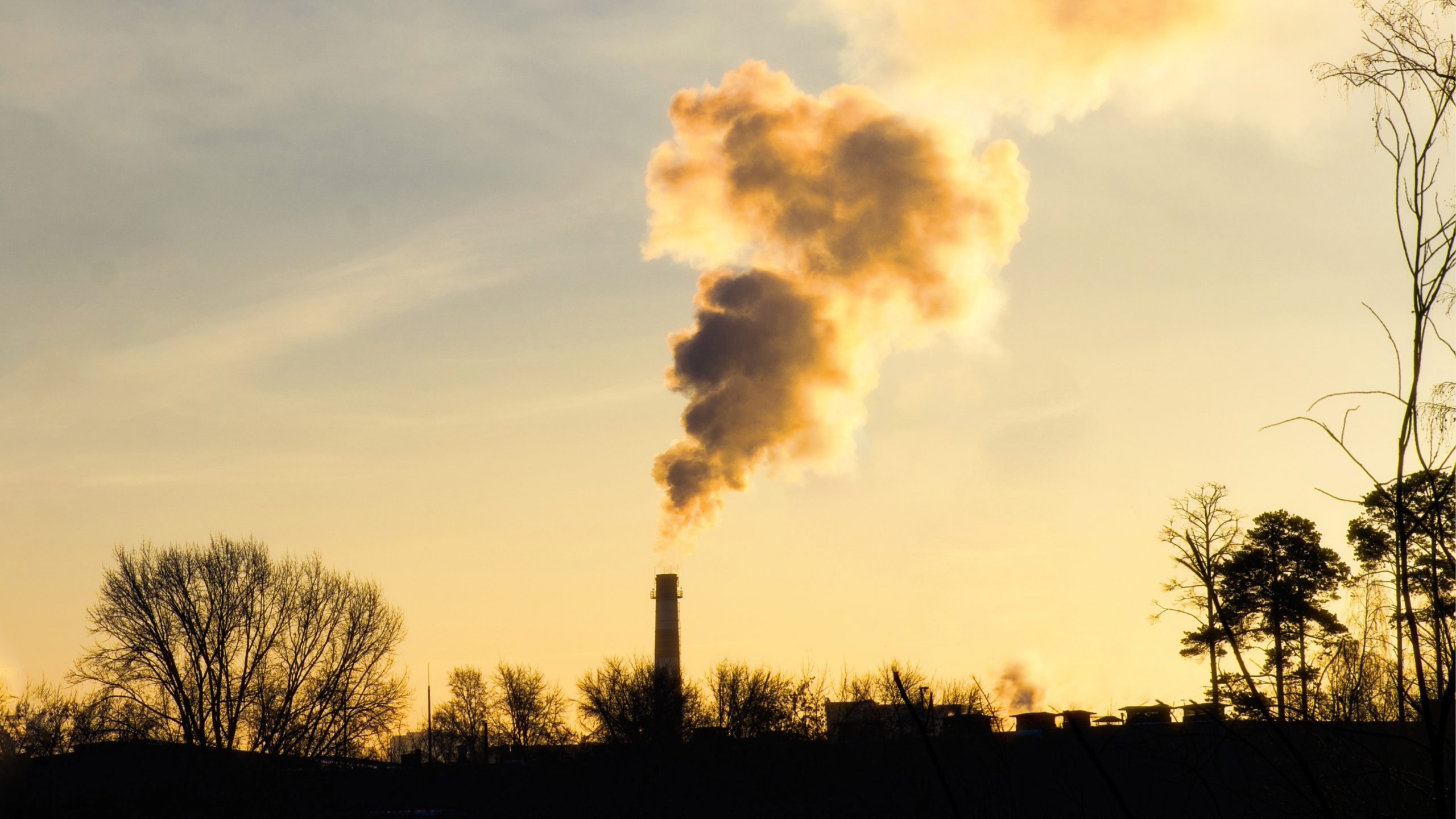 agriland.co.uk - Agriland Team - Major food companies 'lagging' on methane targets - report