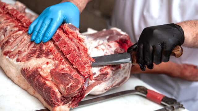 Specialist training showcases ‘professionalism’ of NI meat industry